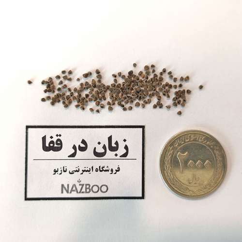 بذر عمده گل زبان در قفا