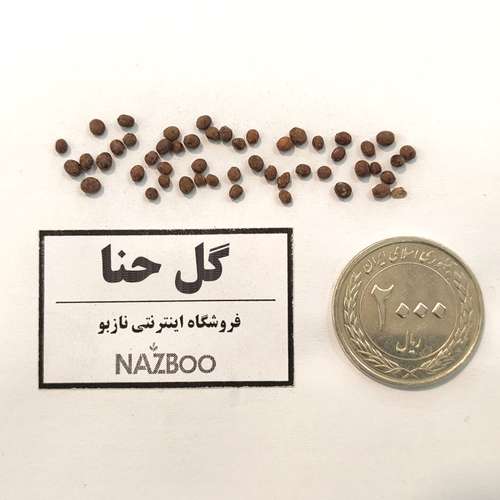 بذر عمده گل حنا