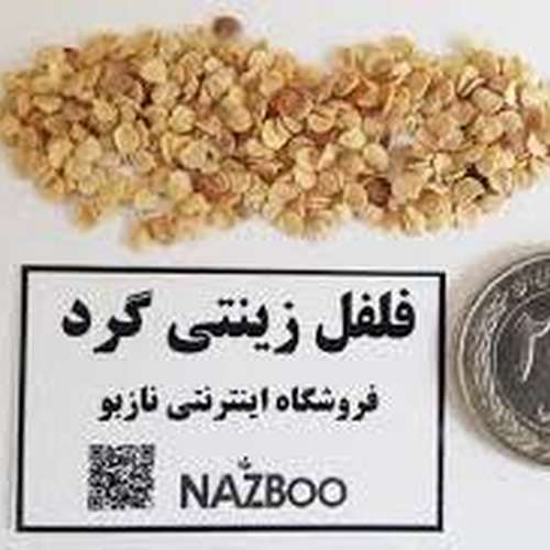 بذر عمده فلفل زینتی گرد