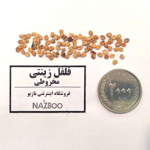 بذر عمده فلفل زینتی مخروطی