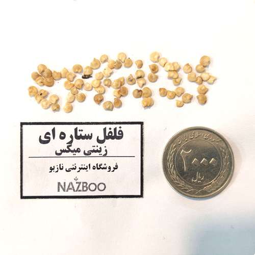 بذر عمده فلفل زینتی ستاره ای