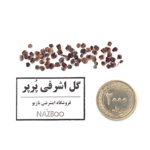 بذر عمده گل اشرفی
