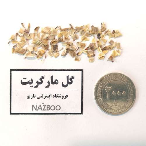 بذر عمده گل مارگریت