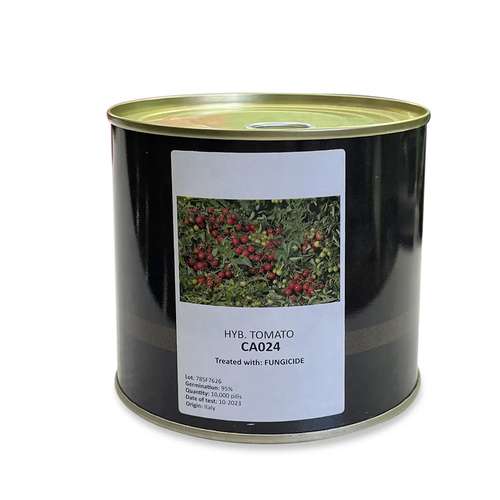 بذر گوجه گیلاسی CA024 کانیون