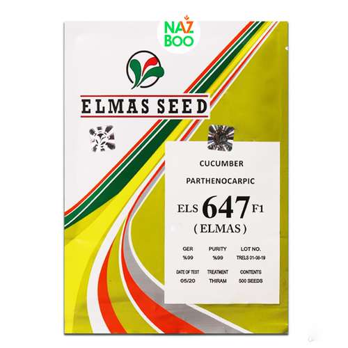 بذر خیار 647 الماس سید