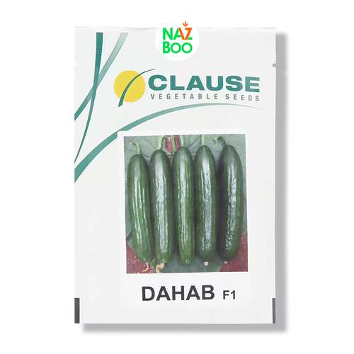 بذر خیار دهاب کلوز