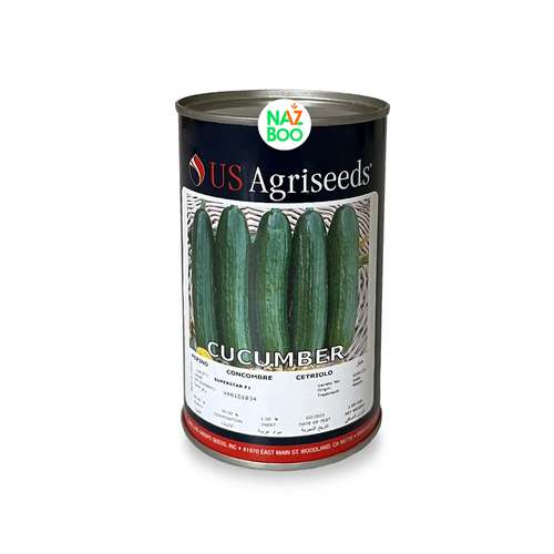 بذر خیار سوپر استار F1