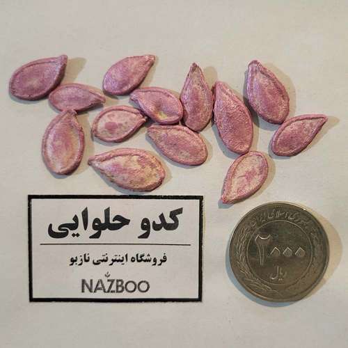 فروش بذر کدو حلوایی