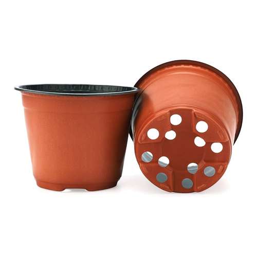 گلدان ژله ای سایز 12 بسته 5 عددی