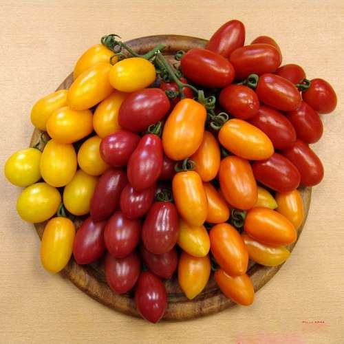 بذر گوجه زیتونی میکس