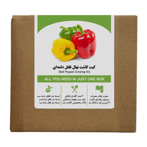 مجموعه کاشت بذر فلفل دلمه ای