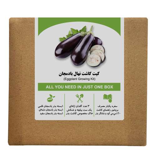 مجموعه کاشت بذر بادمجان