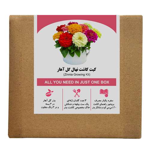 مجموعه کاشت بذر گل آهار