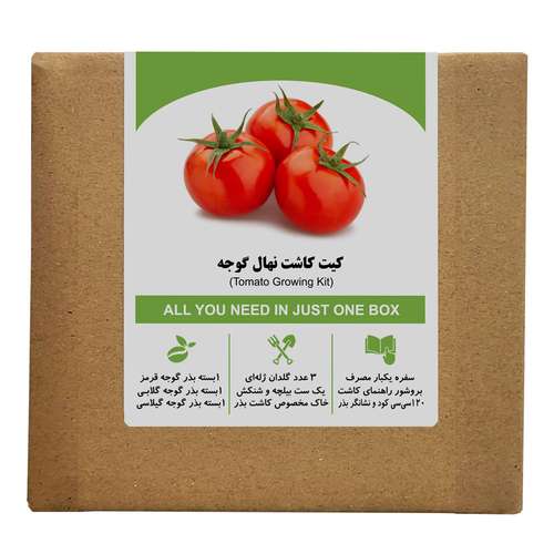 مجموعه کاشت بذر گوجه