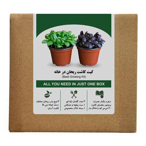 مجموعه کاشت بذر ریحان