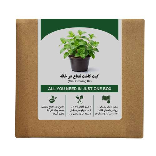 مجموعه کاشت بذر نعناع