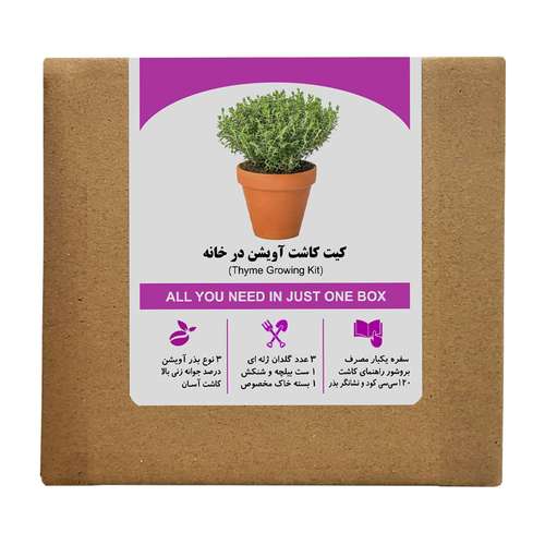 مجموعه کاشت بذر آویشن