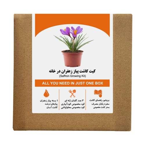 مجموعه کاشت زغفران