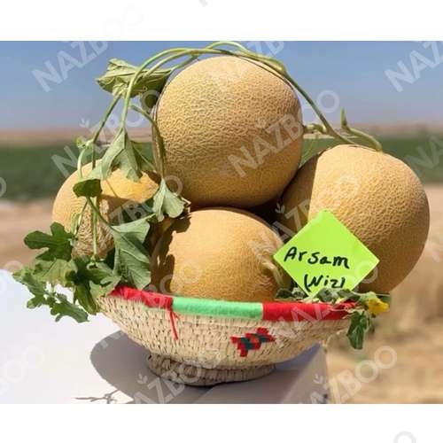 بذر خربزه آرسام