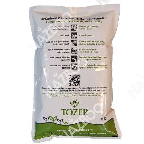 بذر پیاز تگزاس