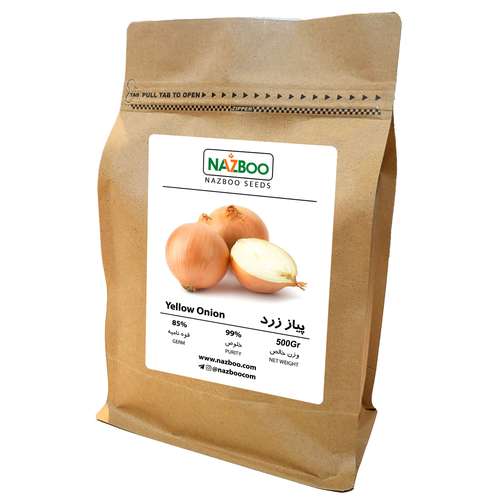 خرید عمده بذر پیاز زرد