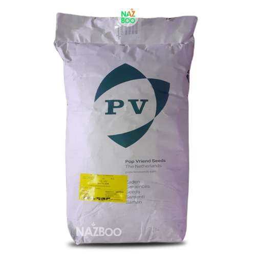 بذر بیبی اسفناج ماتادور پوپ هلند