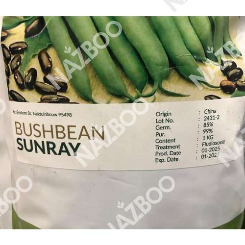 بذر لوبیا سانری گرونولد