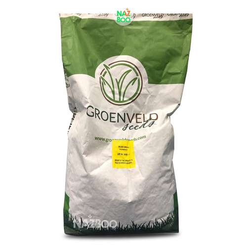 بذر لوبیا سبز سانری گرون ولد 10 کیلویی