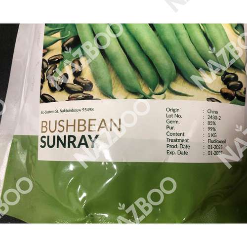 بذر لوبیا سبز سان ری 1 کیلویی گرون ولد