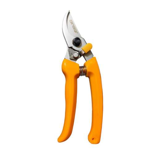 قیچی باغبانی دینگی DINGQI