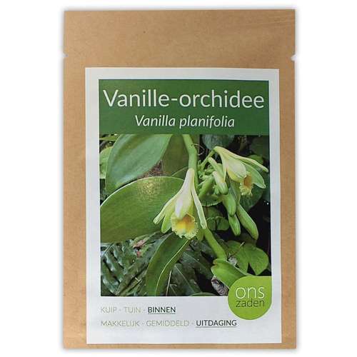 بذر وانیل ارکیده