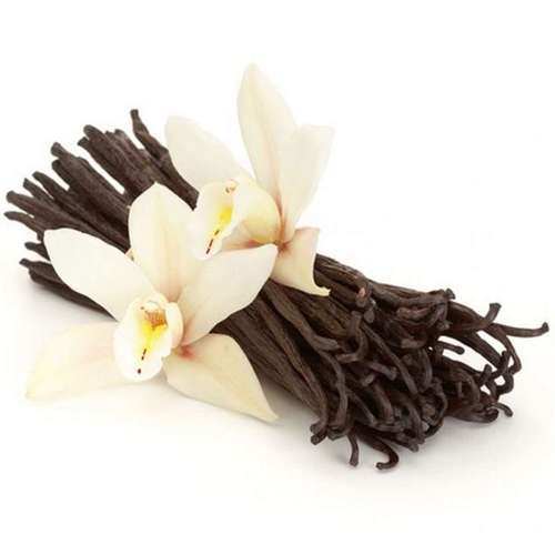 تکثیر وانیل