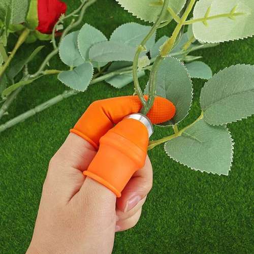 دستکش میوه چینی