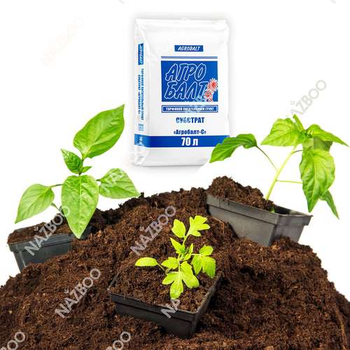 پیت ماس 70 لیتری