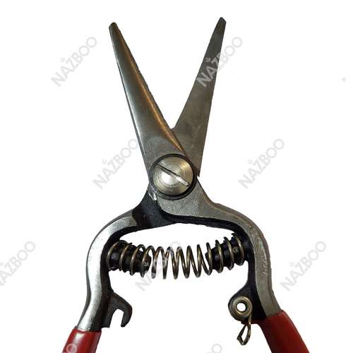 قیچی میوه چینی نوک بلند سرکج