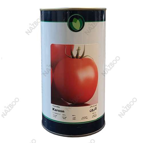 بذر گوجه کارون