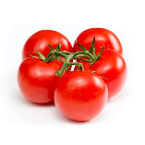 بذر گوجه کارون