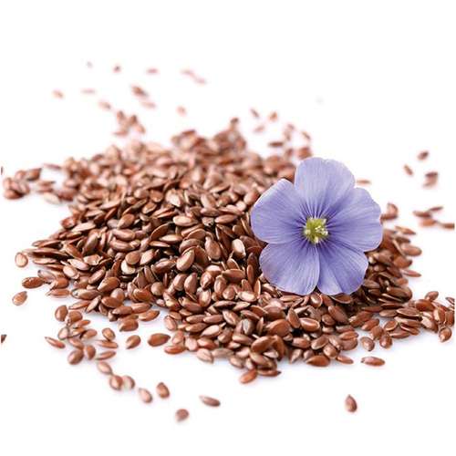 بذر گیاه بزرک