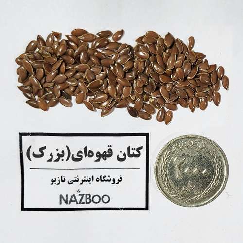 تخم بزرک روغنی