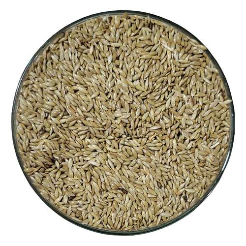 بذر کتان پرندگان (تخم کتان سفید)