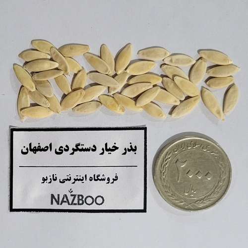 بذر خیار دستگردی اصفهان