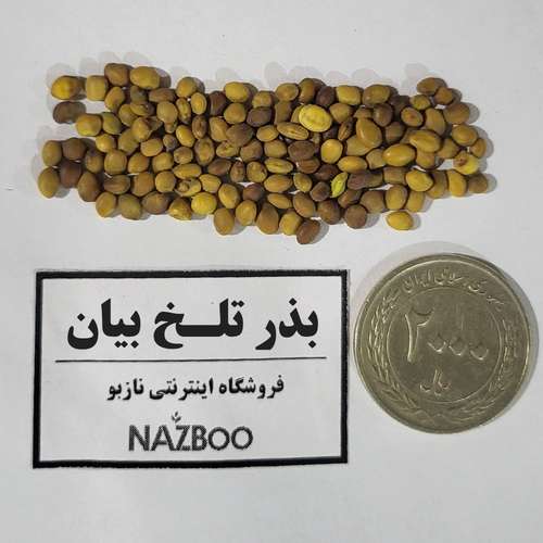 بذر تلخ بیان