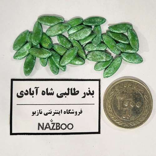 بذر طالبی شاه آبادی