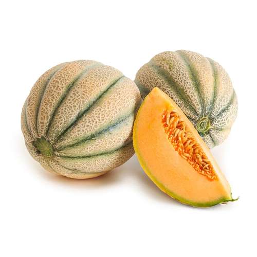 بذر طالبی شاه آبادی