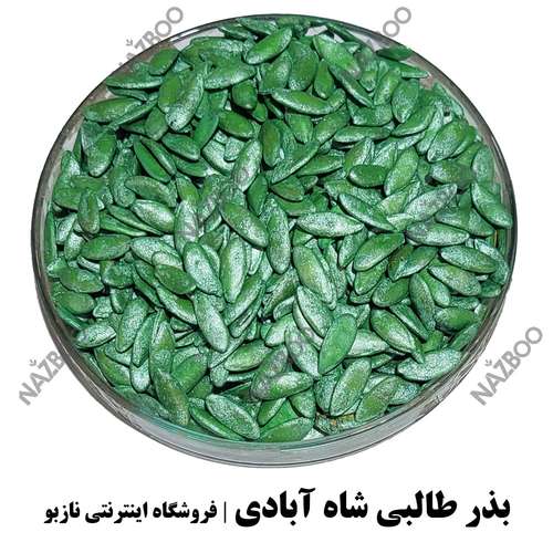 عکس بذر طالبی شاه آبادی