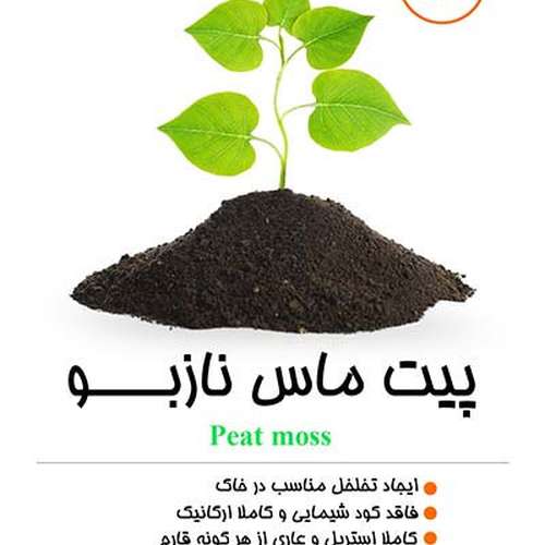 پیت ماس خارجی