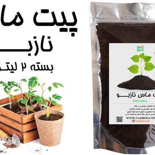 پیت ماس 2 لیتری خانگی