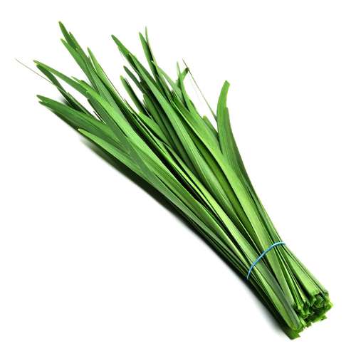 عکس بذر تره شادگان