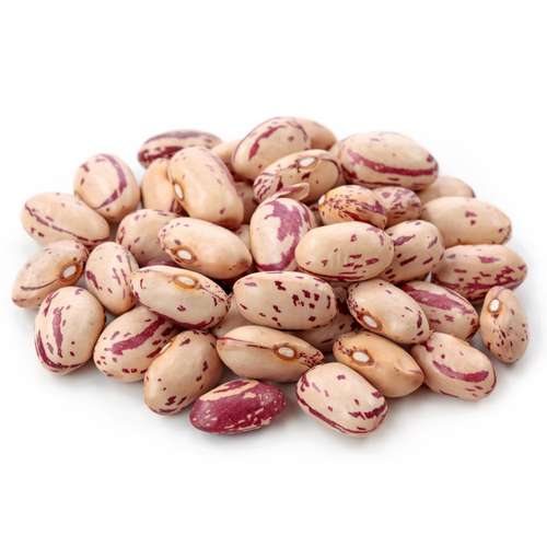 عکس بذر لوبیا چیتی پابلند