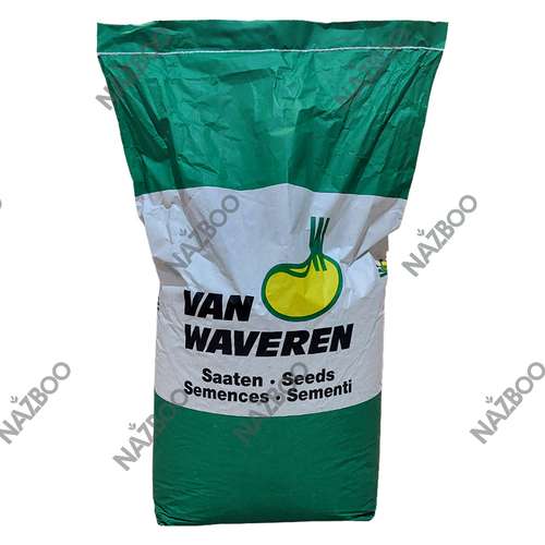 بذر لوبیا سبز کوپا Van Waveren آلمان